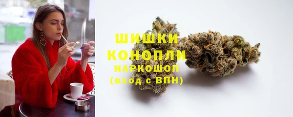 ГАЛЛЮЦИНОГЕННЫЕ ГРИБЫ Аркадак