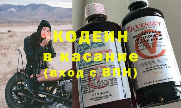 ГАЛЛЮЦИНОГЕННЫЕ ГРИБЫ Аркадак