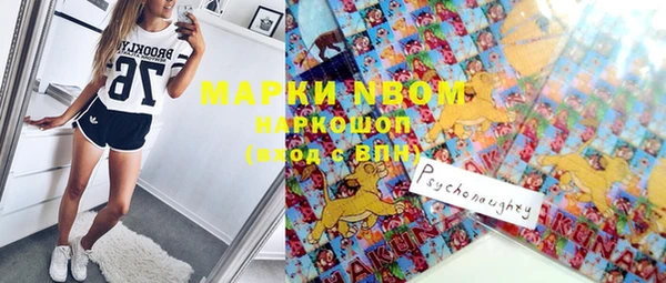 ГАЛЛЮЦИНОГЕННЫЕ ГРИБЫ Аркадак