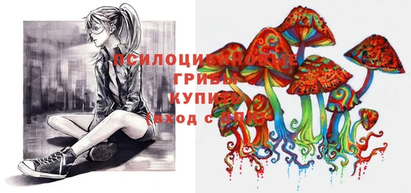 ГАЛЛЮЦИНОГЕННЫЕ ГРИБЫ Аркадак