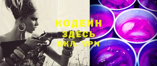 ГАЛЛЮЦИНОГЕННЫЕ ГРИБЫ Аркадак