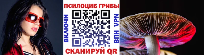 где купить   Свирск  Псилоцибиновые грибы Psilocybe 