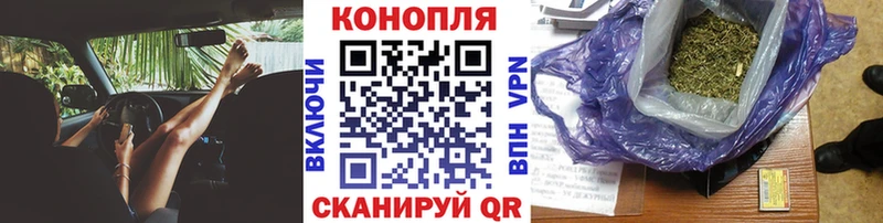 Бошки Шишки ГИДРОПОН Свирск